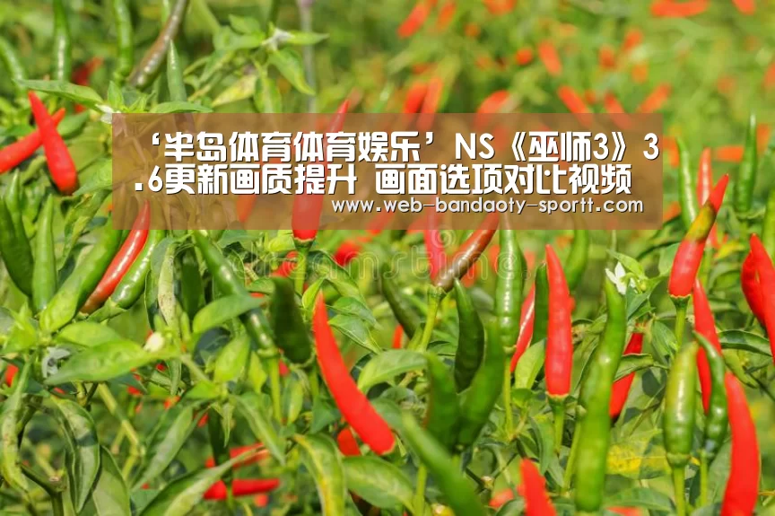 半岛体育体育娱乐